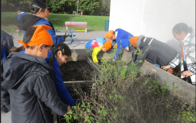 Year 5 Have Been Planting