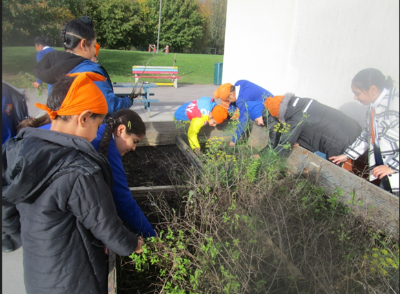 Year 5 Have Been Planting