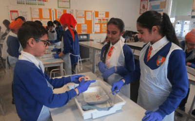 Fun With Science in Year 6