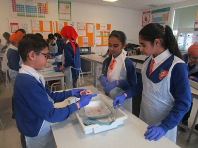 Fun With Science in Year 6